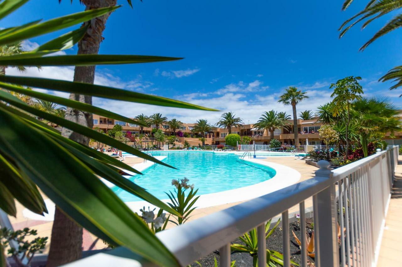 Alicebungalowpoolview-Summer Corralejo Exteriör bild