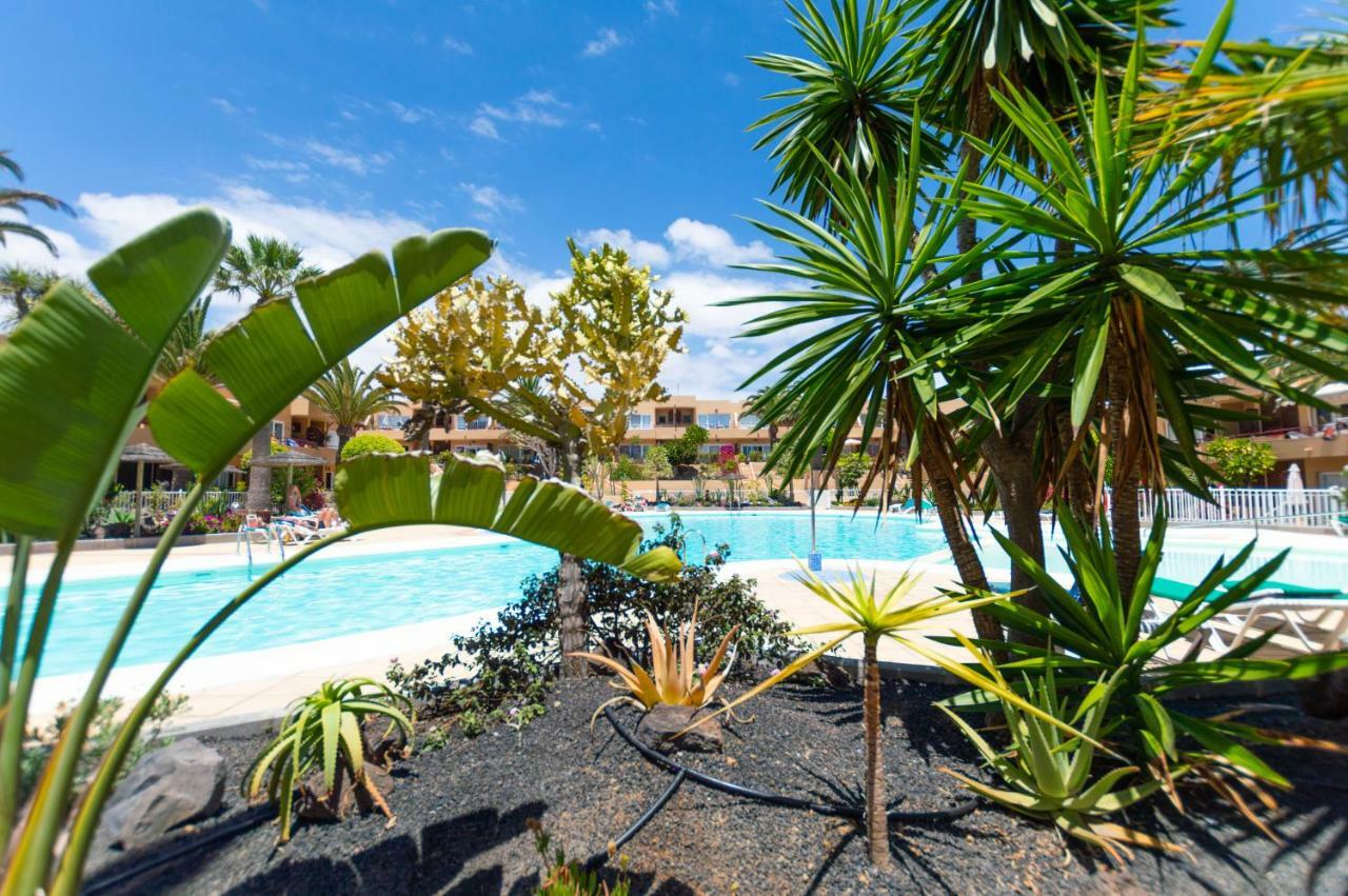 Alicebungalowpoolview-Summer Corralejo Exteriör bild