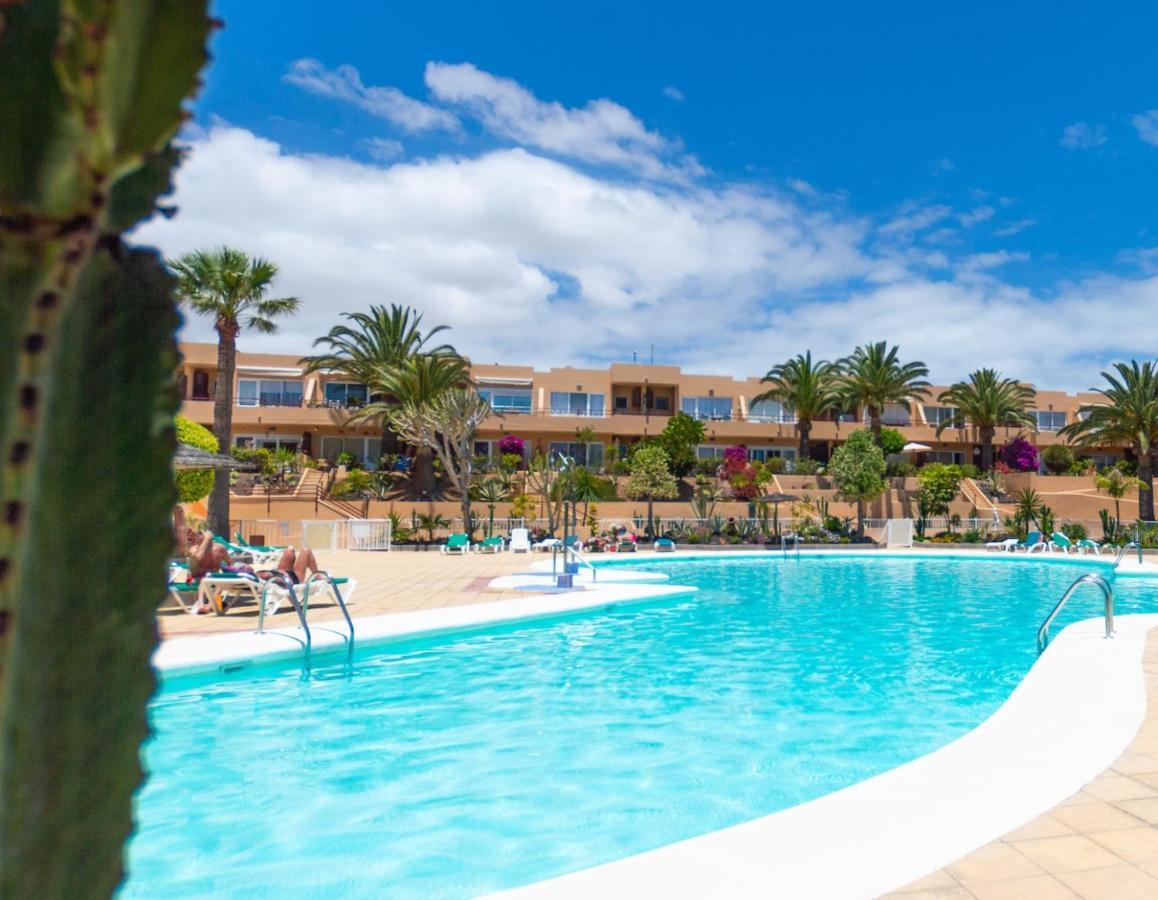 Alicebungalowpoolview-Summer Corralejo Exteriör bild